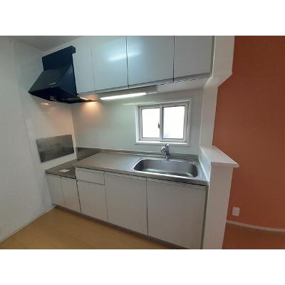 エルミタージュ蓮 203【管理NO：1-018294801-02030】 ★家具家電は申し込み後に搬入します★ ★2026年10月下旬入居可能★の物件画像