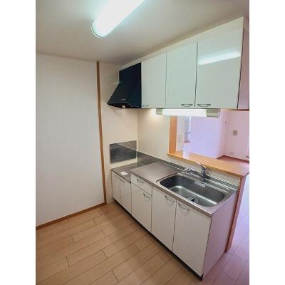 サイネリアＡ 201【管理NO：1-014139501-02010】 ★家具家電は申し込み後に搬入します★ ★2027年01月中旬入居可能★の物件画像