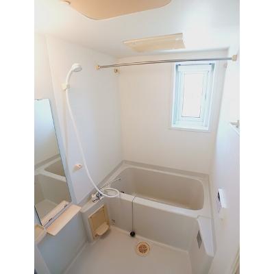 サイネリアＡ 201【管理NO：1-014139501-02010】 ★家具家電は申し込み後に搬入します★ ★2027年01月中旬入居可能★の物件画像