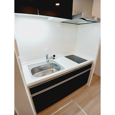 ヒカルサ川越 101【管理NO：1-028153901-01010】 ★家具家電は申し込み後に搬入します★の物件画像