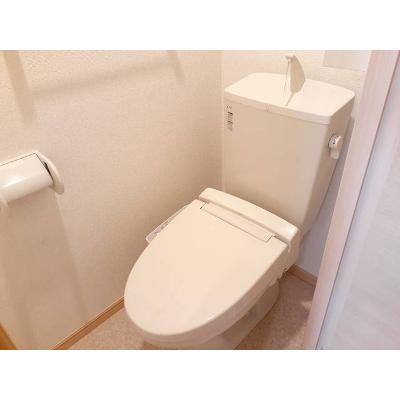フェニックス 402【管理NO：1-015753401-04020】 ★家具家電は申し込み後に搬入します★ ★2026年11月中旬入居可能★の物件画像
