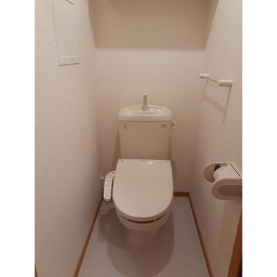 ドリームⅡ 202【管理NO：1-015342902-02020】 ★家具家電は申し込み後に搬入します★ ★2026年11月中旬入居可能★の物件画像