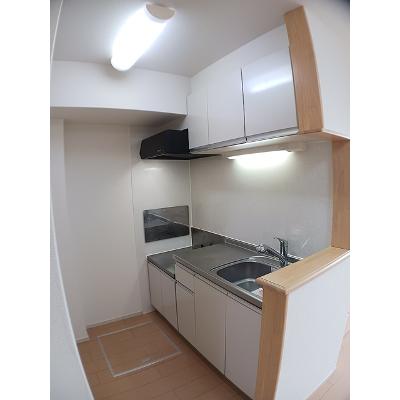 レオ・レグルス 102【管理NO：1-018349001-01020】 ★家具家電は申し込み後に搬入します★の物件画像