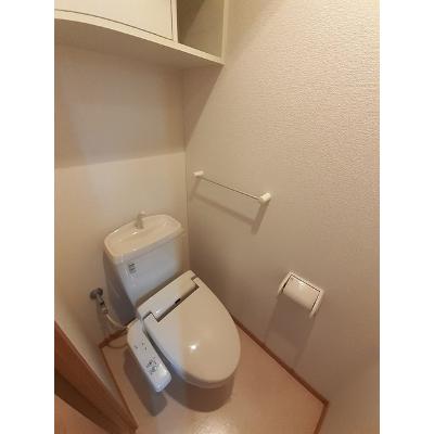 ハーモニー　２１ 203【管理NO：1-015169501-02030】 ★家具家電は申し込み後に搬入します★ ★2026年11月中旬入居可能★の物件画像