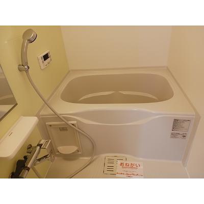 アルファ　カエリー 101【管理NO：1-021403501-01010】 ★家具家電は申し込み後に搬入します★の物件画像