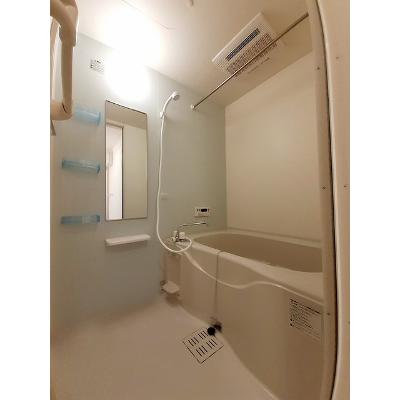 ヴィダ・アルボレス 603【管理NO：1-015329801-06030】 ★家具家電は申し込み後に搬入します★ ★2026年10月中旬入居可能★の物件画像