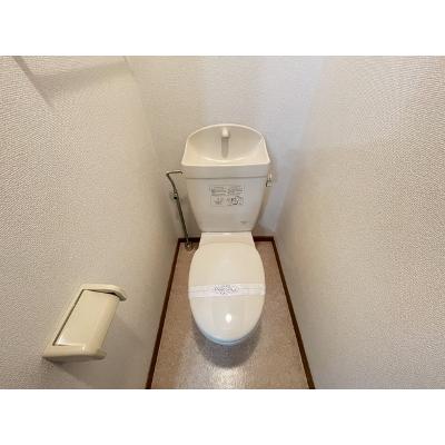 ハイライフ 203【管理NO：1-011695801-02030】 ★家具家電は申し込み後に搬入します★ ★2026年11月上旬入居可能★の物件画像