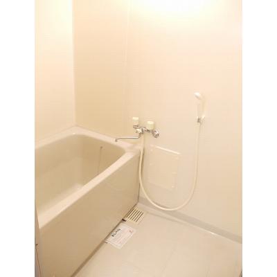 サンシップ 101【管理NO：1-005116001-01010】 ★家具家電は申し込み後に搬入します★ ★2026年11月中旬入居可能★の物件画像