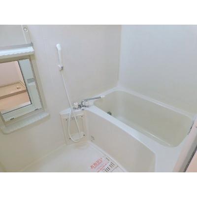 サン・アベニューＡ 203【管理NO：1-011079701-02030】 ★家具家電は申し込み後に搬入します★ ★2026年11月上旬入居可能★の物件画像
