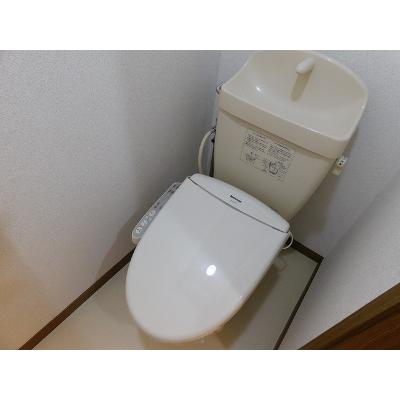 サン・アベニューＡ 203【管理NO：1-011079701-02030】 ★家具家電は申し込み後に搬入します★ ★2026年11月上旬入居可能★の物件画像
