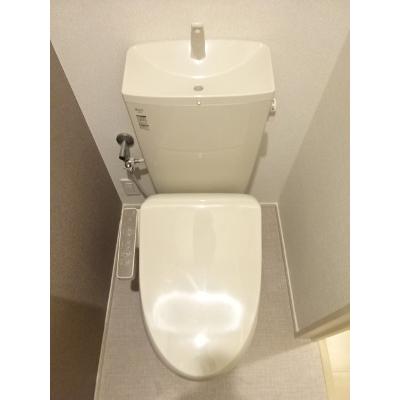 セレノ　ブリッサ 205【管理NO：1-026054801-02050】 ★家具家電は申し込み後に搬入します★ ★2026年11月中旬入居可能★の物件画像