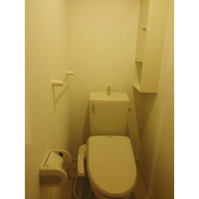 セレノⅡ 202【管理NO：1-019809902-02020】 ★家具家電は申し込み後に搬入します★ ★2026年11月中旬入居可能★の物件画像