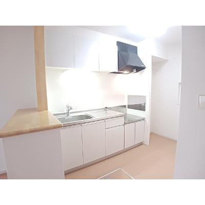 ラ・プレッソ　真菅 101【管理NO：1-019902701-01010】 ★家具家電は申し込み後に搬入します★の物件画像