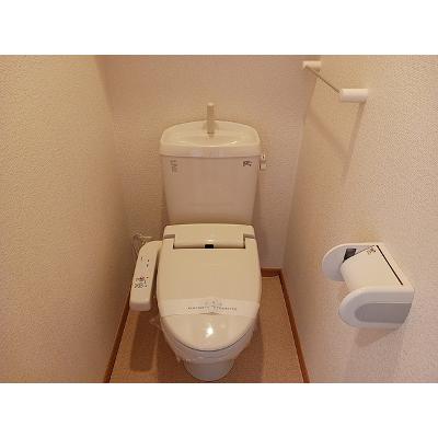 トレフル　Ｄ 303【管理NO：1-014548301-03030】 ★家具家電は申し込み後に搬入します★ ★2026年10月下旬入居可能★の物件画像