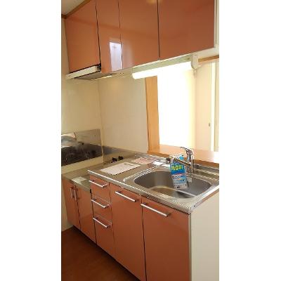 ベル・アンジュＥ棟 203【管理NO：1-012981605-02030】 ★家具家電は申し込み後に搬入します★ ★2026年11月下旬入居可能★の物件画像