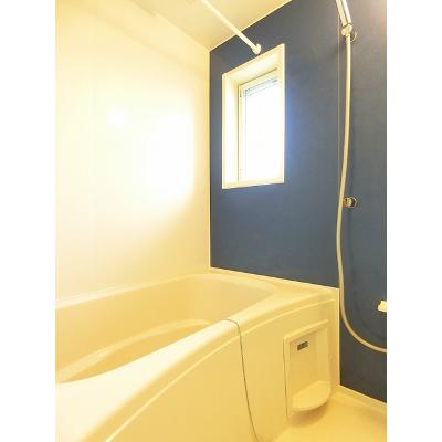 グリーンフォレスト 203【管理NO：1-021512201-02030】 ★家具家電は申し込み後に搬入します★ ★2026年11月中旬入居可能★の物件画像