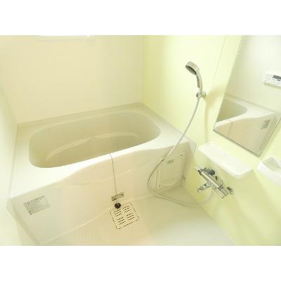 シーガルポートⅣ 102【管理NO：1-022599404-01020】 ★家具家電は申し込み後に搬入します★ ★2026年11月中旬入居可能★の物件画像