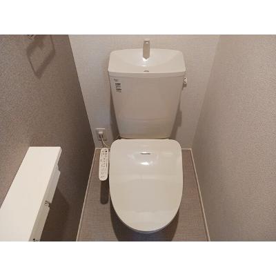 ベルフォールⅤ 202【管理NO：1-027968501-02020】 ★家具家電は申し込み後に搬入します★ ★2026年11月中旬入居可能★の物件画像