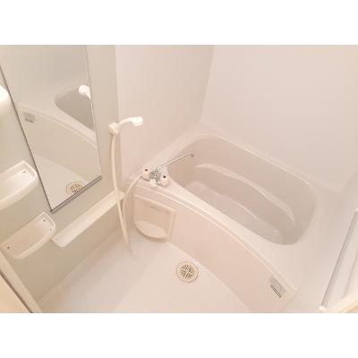 メゾン・ディナスティ 206【管理NO：1-014106401-02060】 ★家具家電は申し込み後に搬入します★ ★2026年11月中旬入居可能★の物件画像