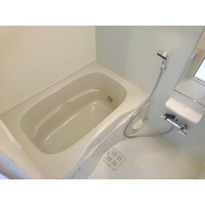 シャインフォレスト 204【管理NO：1-023532301-02040】 ★家具家電は申し込み後に搬入します★ ★2026年10月中旬入居可能★の物件画像