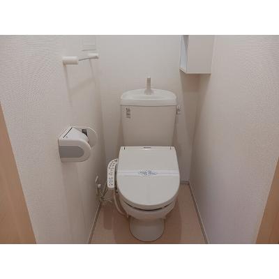 カトレア 203【管理NO：1-017266801-02030】 ★家具家電は申し込み後に搬入します★ ★2026年11月中旬入居可能★の物件画像