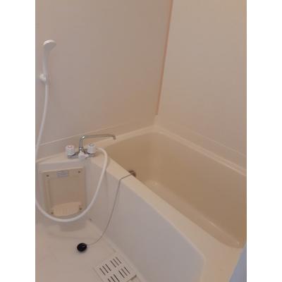 フォレスタＡ 102【管理NO：1-011346501-01020】 ★家具家電は申し込み後に搬入します★ ★2026年11月中旬入居可能★の物件画像