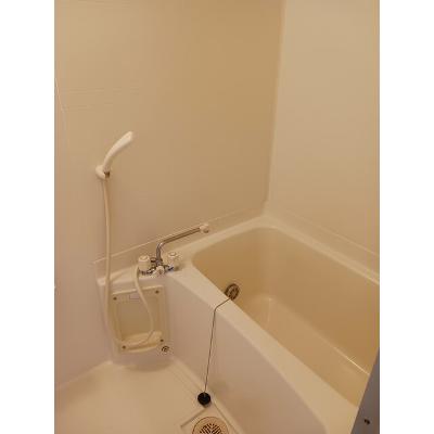 シャトーＤＥマロン 101【管理NO：1-009629801-01010】 ★家具家電は申し込み後に搬入します★ ★2026年11月中旬入居可能★の物件画像