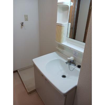 シャトーＤＥマロン 101【管理NO：1-009629801-01010】 ★家具家電は申し込み後に搬入します★ ★2026年11月中旬入居可能★の物件画像