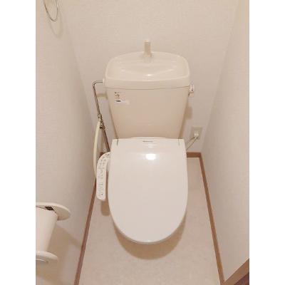ビラ・ピノリコ 201【管理NO：1-010086601-02010】 ★家具家電は申し込み後に搬入します★ ★2026年11月下旬入居可能★の物件画像
