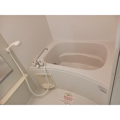 プラシード 201【管理NO：1-012436501-02010】 ★家具家電は申し込み後に搬入します★ ★2026年11月中旬入居可能★の物件画像