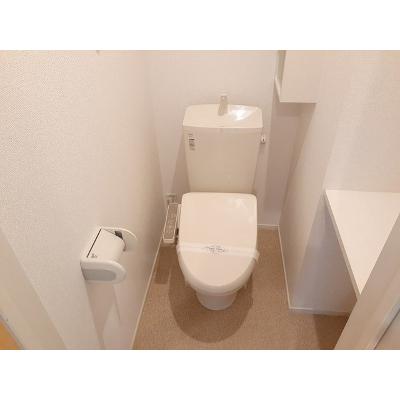 メゾン　グランディール 105【管理NO：1-021256301-01050】 ★家具家電は申し込み後に搬入します★ ★2026年10月中旬入居可能★の物件画像
