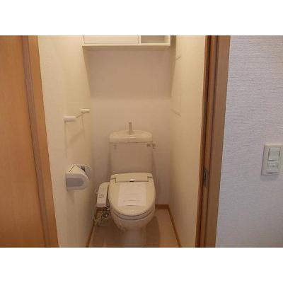 Ｍ－ティアラⅡ 202【管理NO：1-014683701-02020】 ★家具家電は申し込み後に搬入します★の物件画像