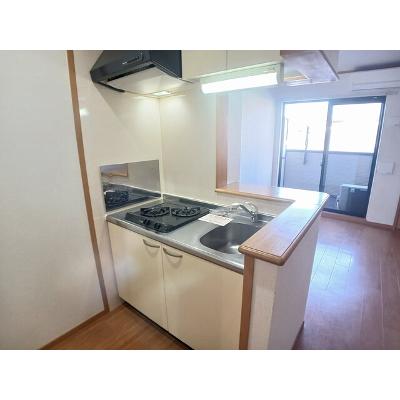 パレット法蓮 202【管理NO：1-014231401-02020】 ★家具家電は申し込み後に搬入します★ ★2026年10月下旬入居可能★の物件画像