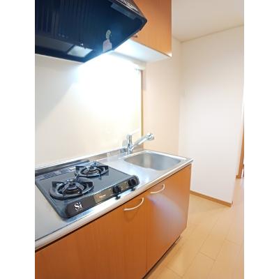 セレブパレス 202【管理NO：1-015112301-02020】 ★家具家電は申し込み後に搬入します★の物件画像