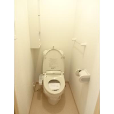 スカイ　エアリー 205【管理NO：1-016455601-02050】 ★家具家電は申し込み後に搬入します★ ★2026年11月中旬入居可能★の物件画像