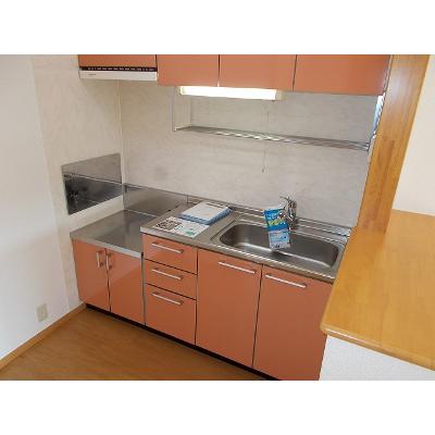 カーサプラシード 201【管理NO：1-012829201-02010】 ★家具家電は申し込み後に搬入します★ ★2026年12月下旬入居可能★の物件画像