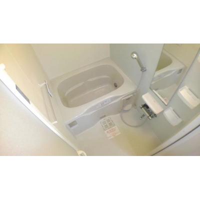 アニメート 101【管理NO：1-020949101-01010】 ★家具家電は申し込み後に搬入します★ ★2026年10月中旬入居可能★の物件画像