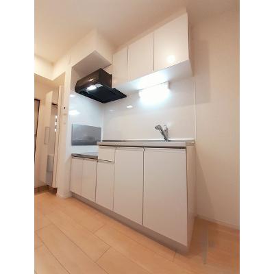 ラッフィナート 101【管理NO：1-023375901-01010】 ★家具家電は申し込み後に搬入します★の物件画像