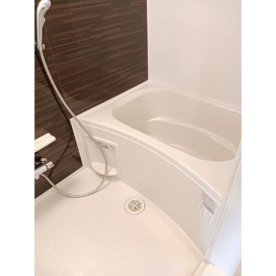 エヴィメリアＤ 202【管理NO：1-026935701-02020】 ★家具家電は申し込み後に搬入します★の物件画像