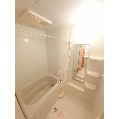 アヴェニールＡ 103【管理NO：1-012934201-01030】 ★家具家電は申し込み後に搬入します★ ★2026年11月中旬入居可能★の物件画像