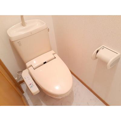 白山ヒルズⅡ　弐番館 104【管理NO：1-013674102-01040】 ★家具家電は申し込み後に搬入します★ ★2026年11月下旬入居可能★の物件画像