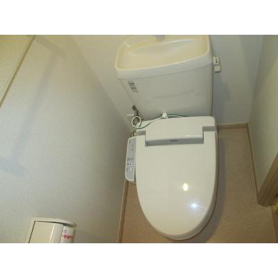 メゾン・ド・シェリュバンⅡ 203【管理NO：1-016862201-02030】 ★家具家電は申し込み後に搬入します★ ★2026年11月中旬入居可能★の物件画像