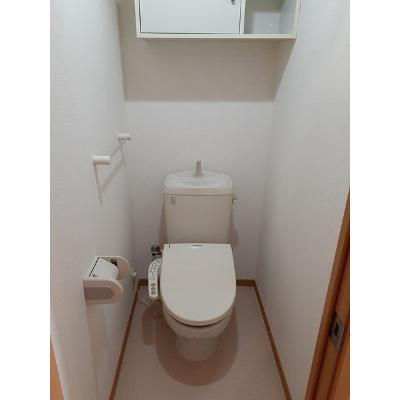 パラッツオ 102【管理NO：1-014280201-01020】 ★家具家電は申し込み後に搬入します★ ★2026年12月中旬入居可能★の物件画像
