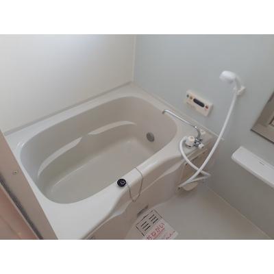 ソレイユ苗代 203【管理NO：1-015829401-02030】 ★家具家電は申し込み後に搬入します★ ★2026年11月中旬入居可能★の物件画像