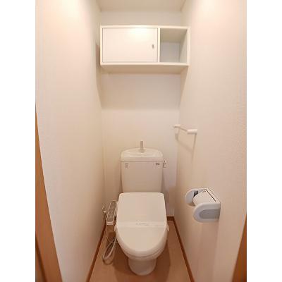 メゾン・アルバ 102【管理NO：1-014836201-01020】 ★家具家電は申し込み後に搬入します★ ★2026年11月中旬入居可能★の物件画像