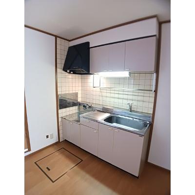 パレスサミット 101【管理NO：1-009340201-01010】 ★家具家電は申し込み後に搬入します★の物件画像
