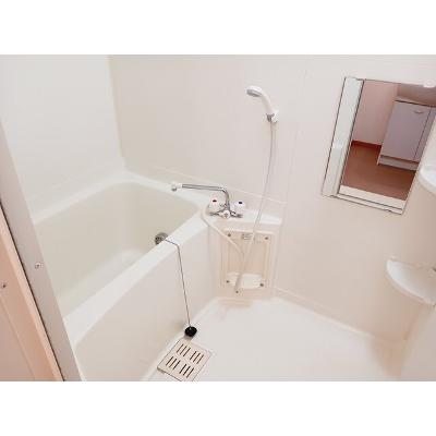 アネックス 203【管理NO：1-011730801-02030】 ★家具家電は申し込み後に搬入します★ ★2026年11月上旬入居可能★の物件画像