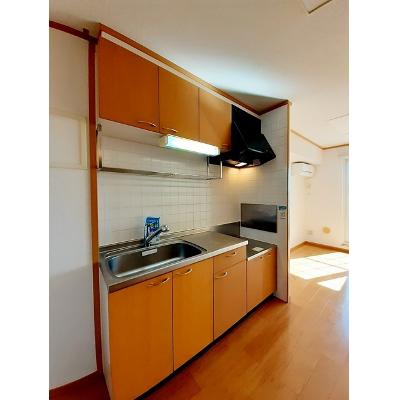 アネックス 202【管理NO：1-011730801-02020】 ★家具家電は申し込み後に搬入します★ ★2026年11月中旬入居可能★の物件画像