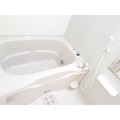 Ｆｒｕｉｔ 104【管理NO：1-016472501-01040】 ★家具家電は申し込み後に搬入します★ ★2026年11月下旬入居可能★の物件画像
