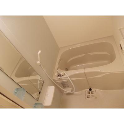ステラ・ランド 401【管理NO：1-014729601-04010】 ★家具家電は申し込み後に搬入します★ ★2026年11月下旬入居可能★の物件画像